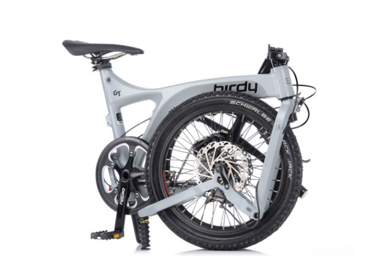 Birdy Monocoque GT